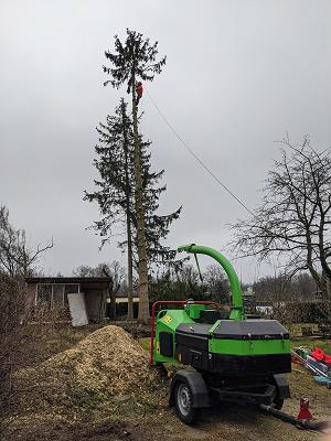 Baumpflege, Garten- und Landschaftsbau Ken Seifert