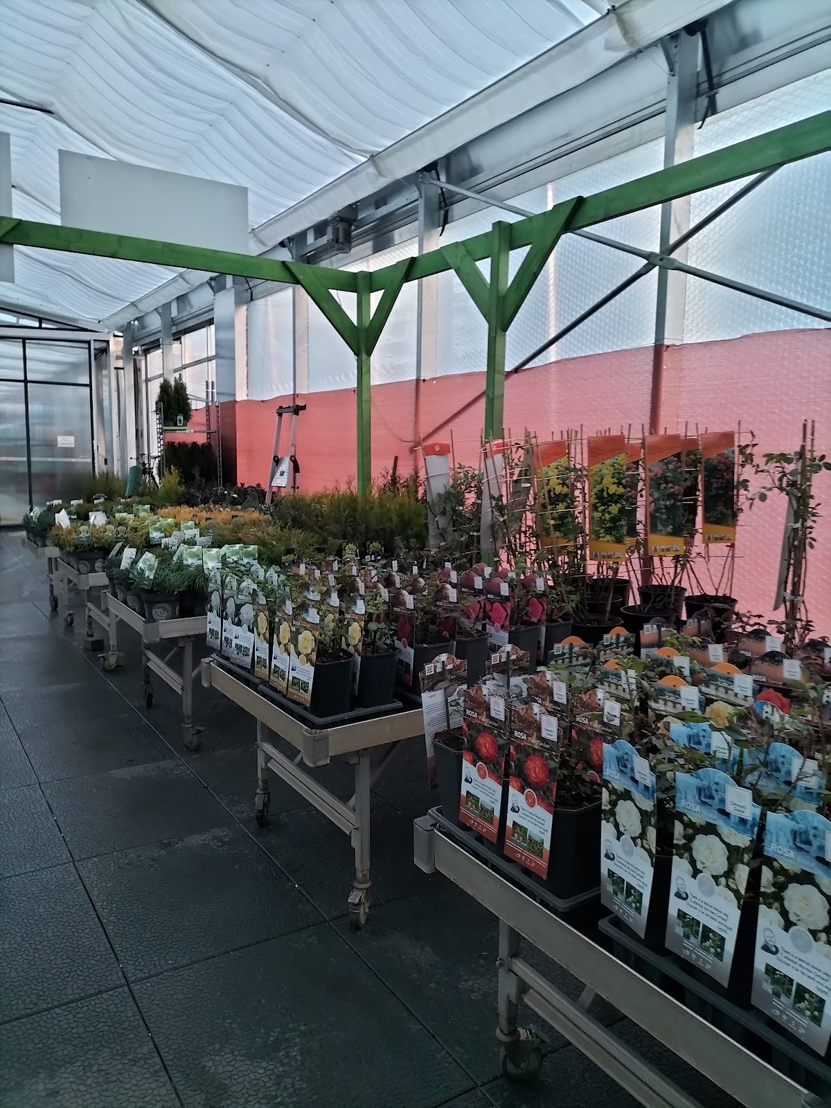 682eee1118a96