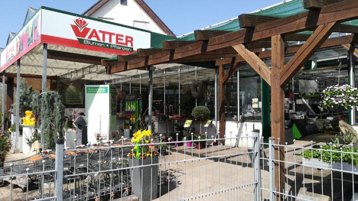 VATTER Blumen und Pflanzen, Bempflingen