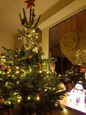 Thomas Krause Gartengestaltung