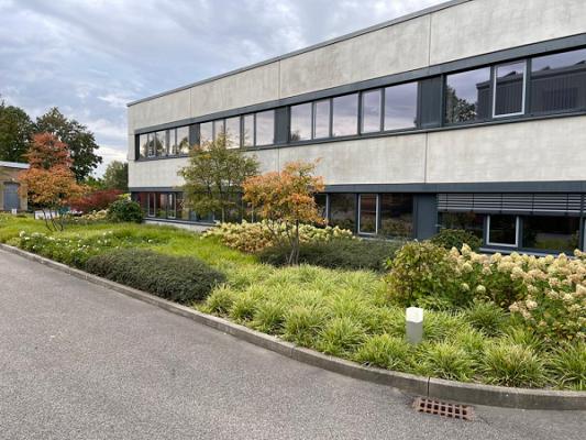Grünbau Axel Peters - Gartengestaltung und Gartenpflege
