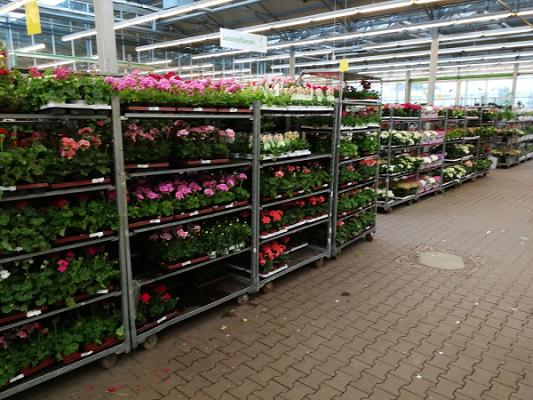 Landgard Cash & Carry Chemnitz-Röhrsdorf