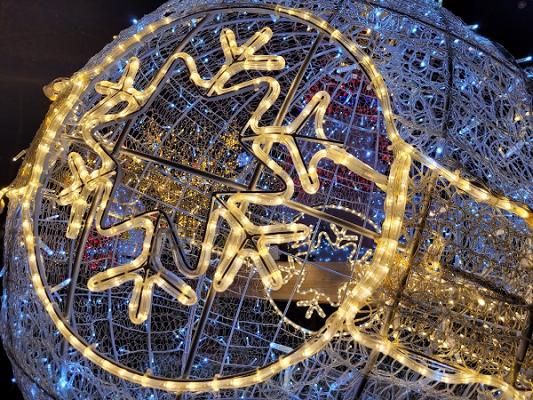 Baumservice Hopfengärtner