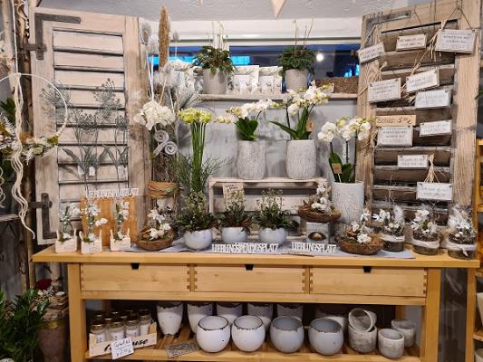 Weber-Blumen Zinnberg