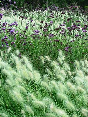 PLANENundPFLANZEN Gartenplanung Landschaftsarchitektur