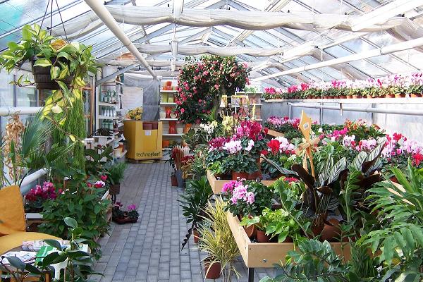 Gartenbau Trautzsch Kathrin Schulz