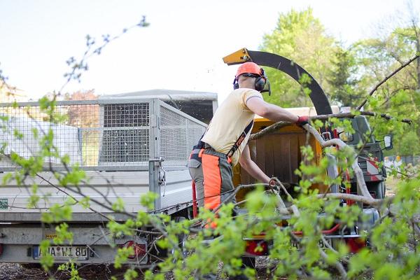 Baum & Gartenservice