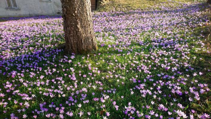 682eef9527658