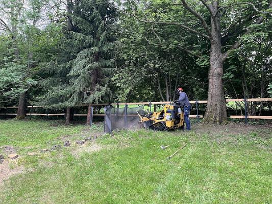 Baum+Garten Baumann | Wurzelfräsen | Baumpflege | Baggerarbeiten | Gartengestaltung