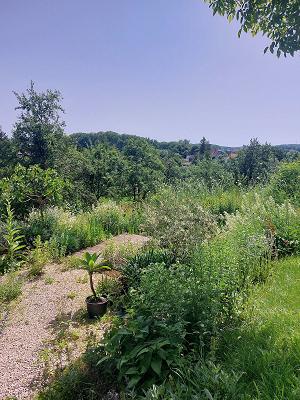 Arbeitsgemeinschaft Garten