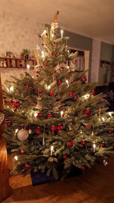 Tannenhof Lengefeld Baumschule