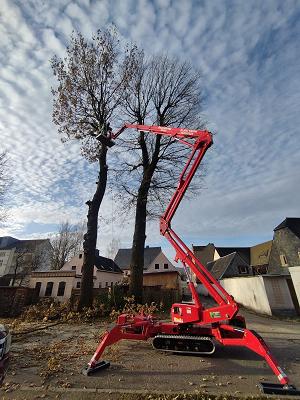Baumdienst Steffen Weise