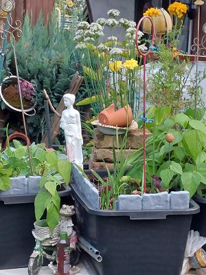 682ef077599af