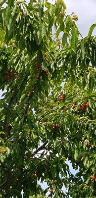 682ef078a0565