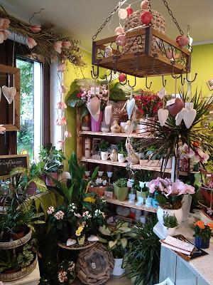 Ute Flemming - Gärtnerei Albani