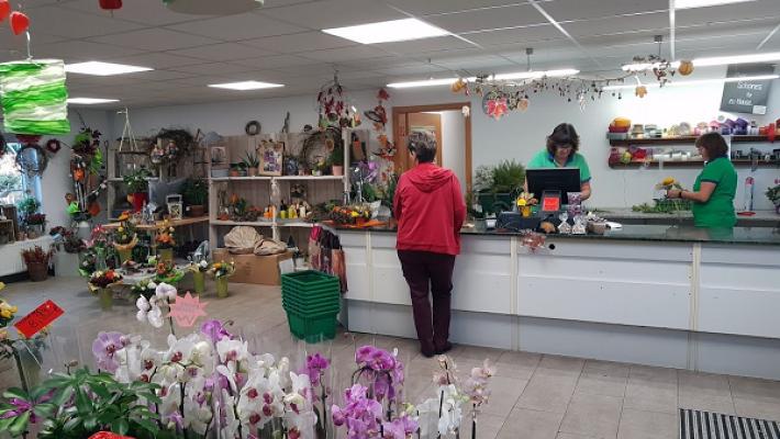 RHG Garten- & Blumenmarkt Brand-Erbisdorf