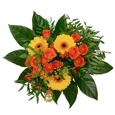 Schöne Blumen Floristik & Gartenbau