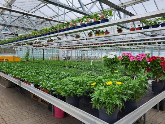 Süß Jens Gartenbau