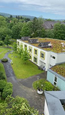 Atmosphäre | Garten - und Landschaftsbau