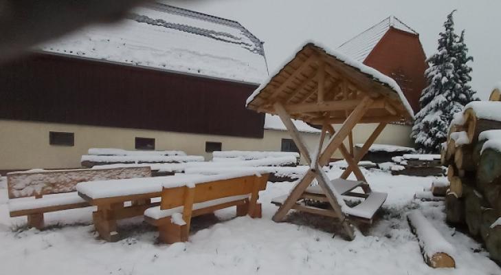 schöne - bäume Forstdienstleistungen