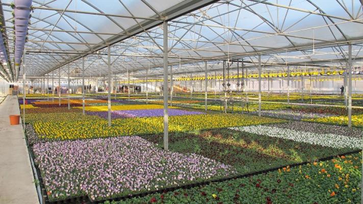 Gartenbau Salzwedel GmbH