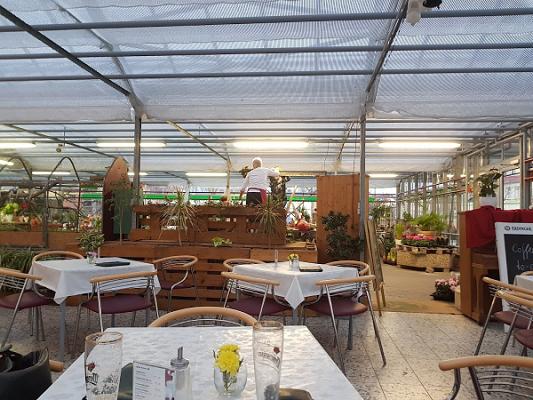 Blumenparadies G. Würke, Inh. Anette Pflug