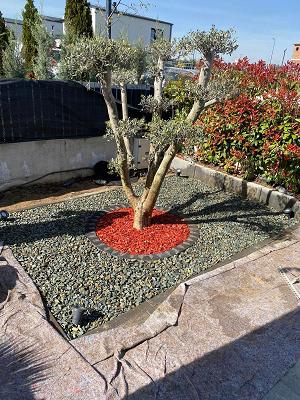 Garten und Landschaftsbau