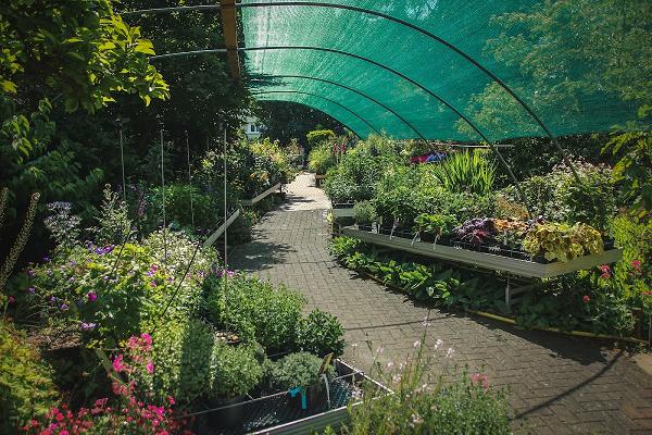 Baumschulhandel Udo Schwander