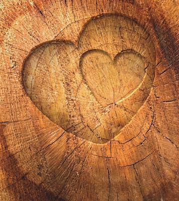 Tree of Life Baumbestattungen - Der Baum des Lebens