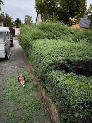 Gartenbau Ehrhardt