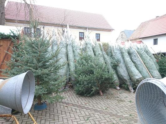 Gärtnerei Kohler