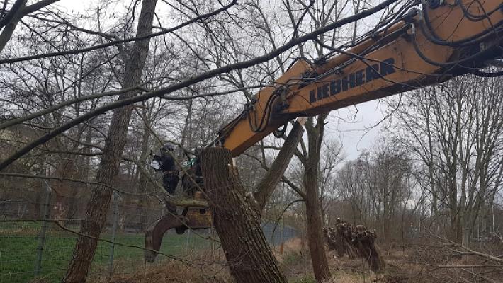 KvC Baumpflege & Spezialfällungen