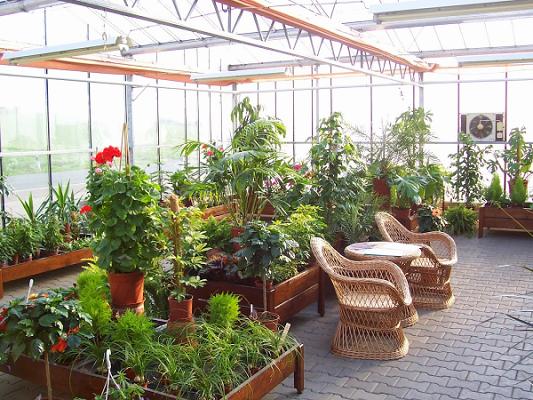 Gärtnerei Vogt Inh. Elisabeth u. Knut Henfling GbR