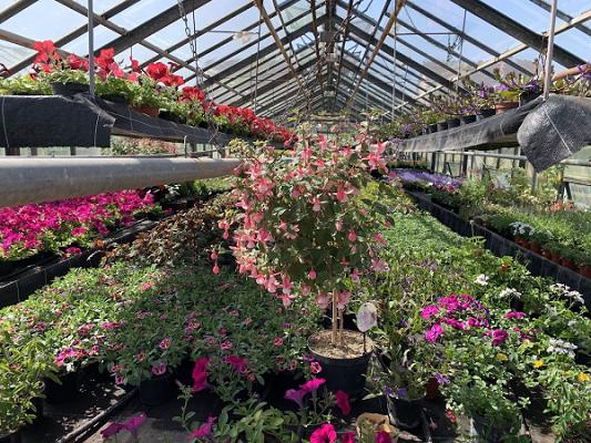 Gärtnerei Crösten KG