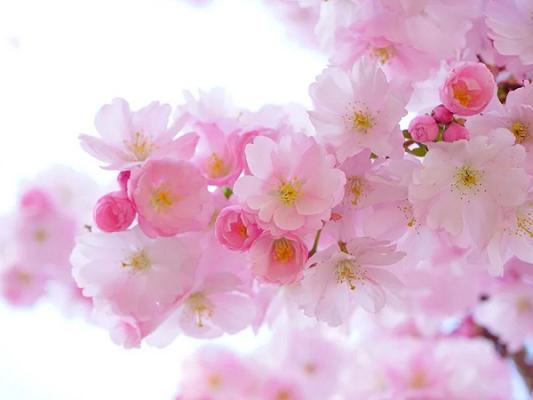 Garten- und Landschaftsbau GbR Tuma und Jagenholz