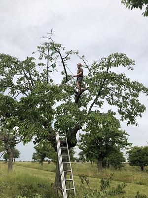 Fa. Kurz im Grünen - Marco Schumann