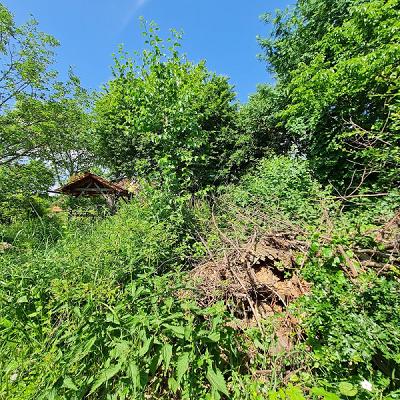 Naturlehrgarten Ranis