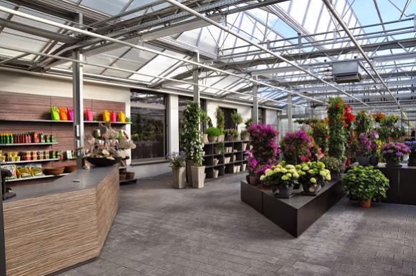 Blumen Konzelmann-Höfer GmbH & Co. KG