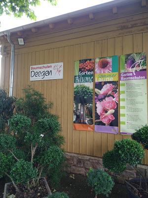 BAD KÖSTRITZ BAUMSCHULE DEEGEN