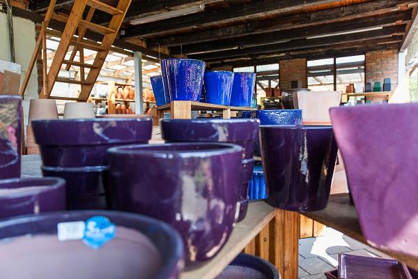 BOOCK GARTENKULTUR - Gärtnerei Boock