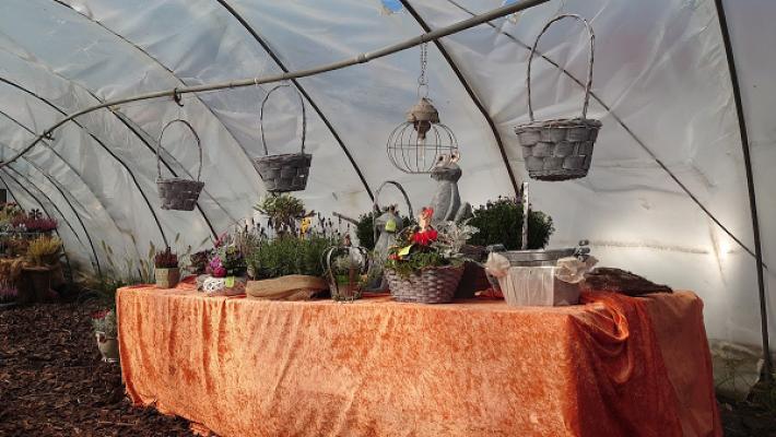 Rosenhahn Rittergut Zöthen KG