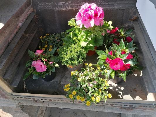 Ulrich Werbach Gartenbaubetrieb