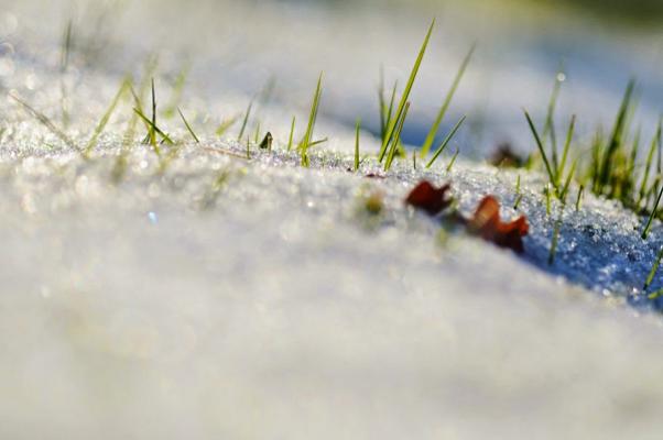 DLA Dworatzek - Grünpflege-WAK