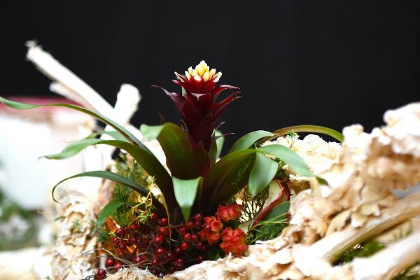 Weisheit Blumengroßhandel