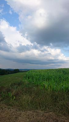 Gärtnerei Hartung Dermbach