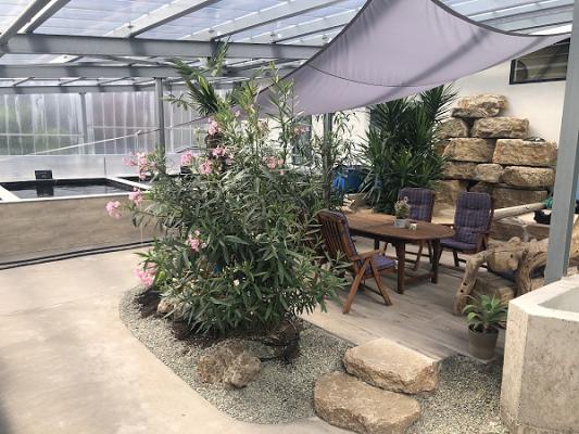 Kai Lorenz Garten & Landschaftsbau ------- Koi & Teichcenter