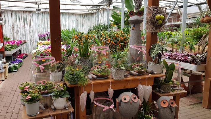 Klöppner Gartenbaubetrieb