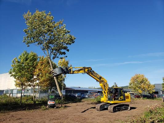 N. Menge Garten- und Landschaftsbau