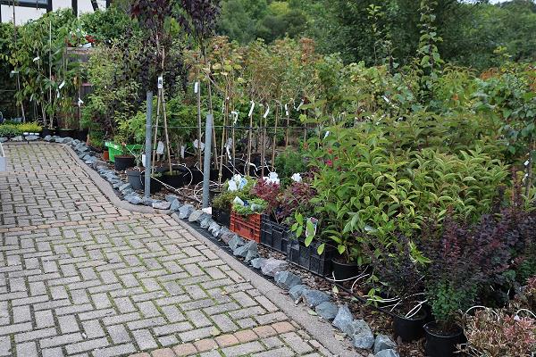 Gärtnerei Christopher Jünemann