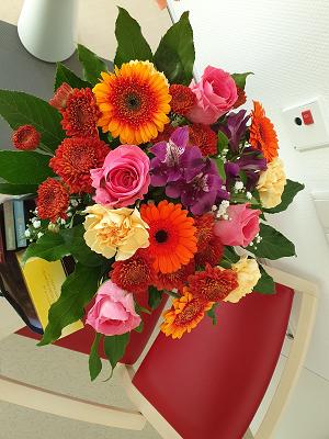 Stephan Leibeling Gartenbau